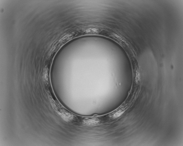 X0000052980561200507291554