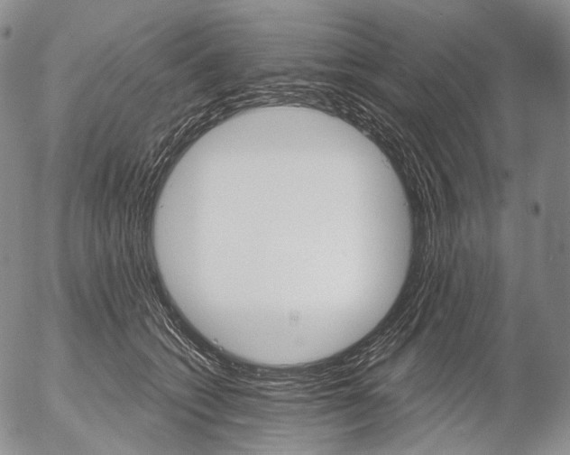 X0000052980562200507291554