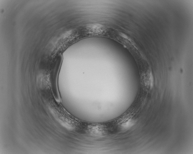 X0000052980564200507291554