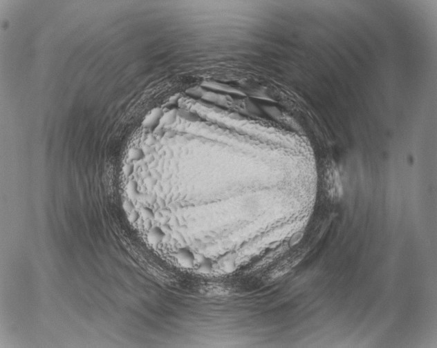 X0000052980565200507291554