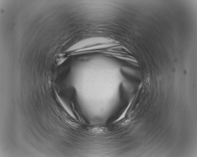 X0000052980566200507291554