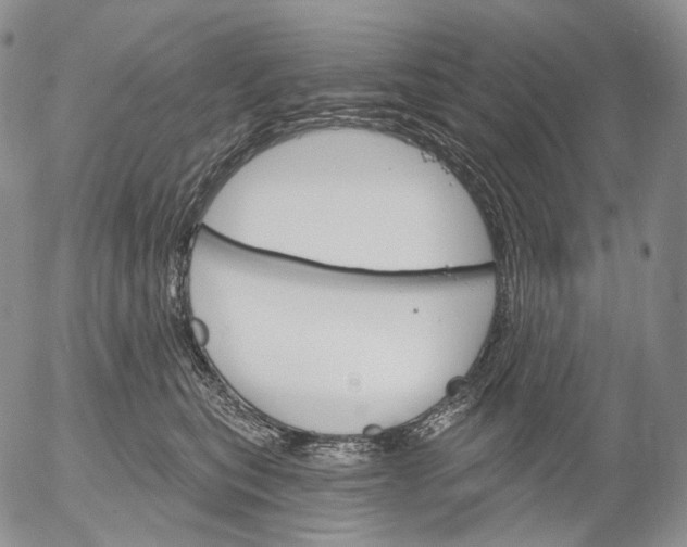 X0000052980567200507291554