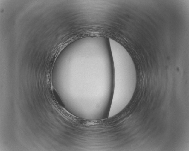 X0000052980568200507291554