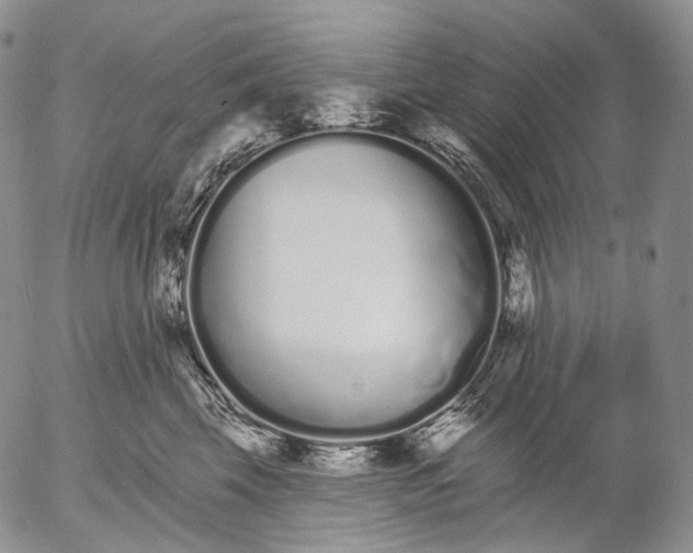 X0000052980569200507291554