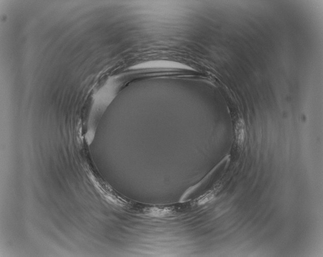 X0000052980570200507291554