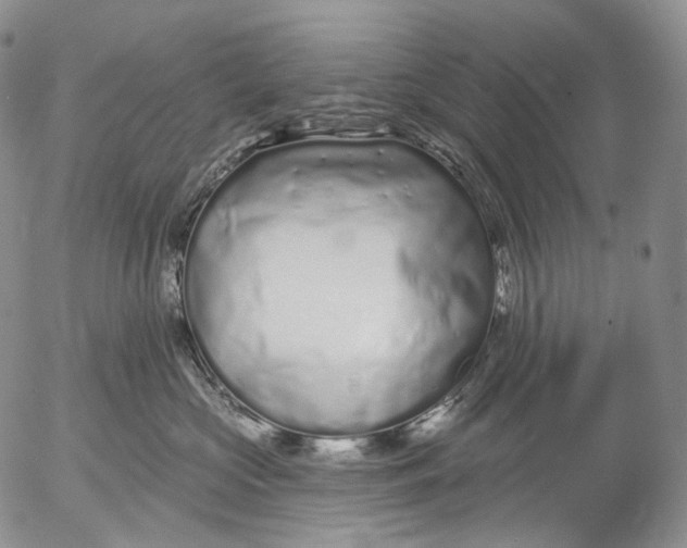 X0000052980573200507291554