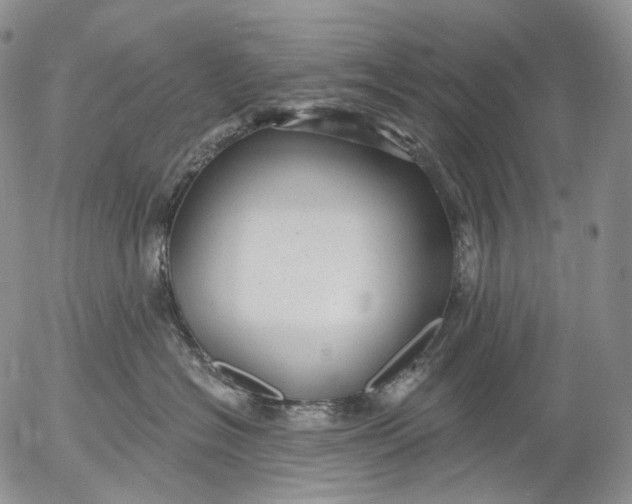 X0000052980574200507291554