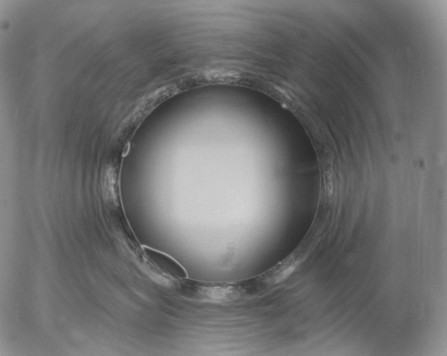 X0000052980575200507291555