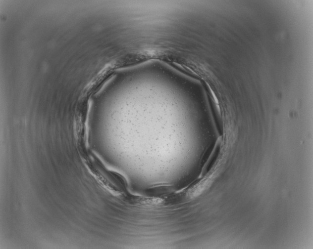 X0000052980576200507291555