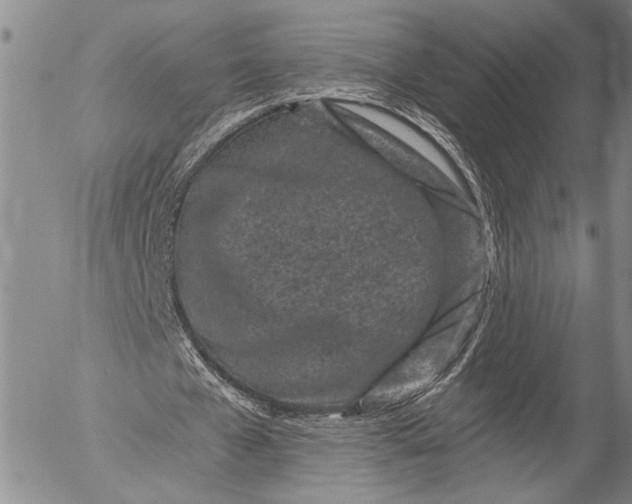 X0000052980577200507291554