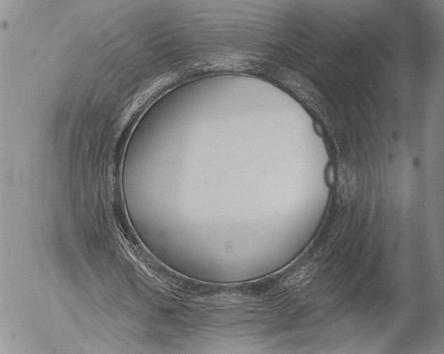 X0000052980578200507291554