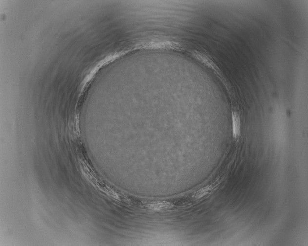 X0000052980579200507291554