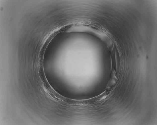 X0000052980580200507291554