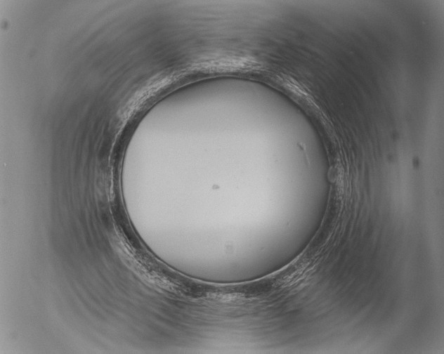 X0000052980582200507291554