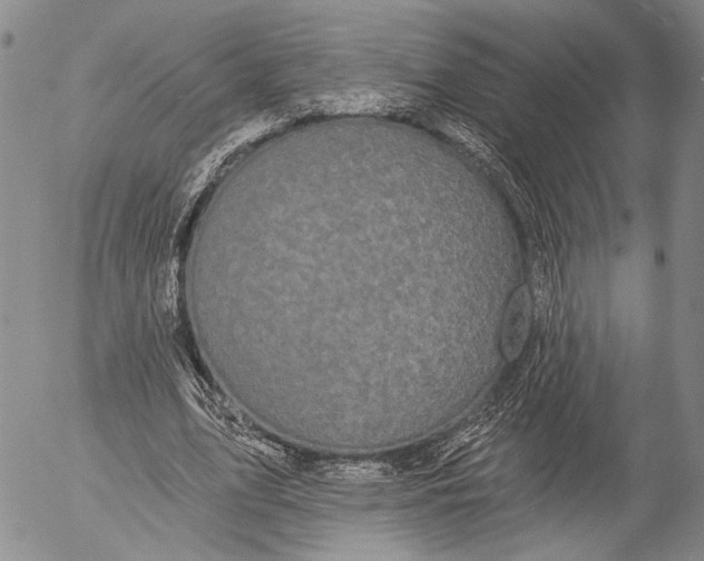 X0000052980583200507291554