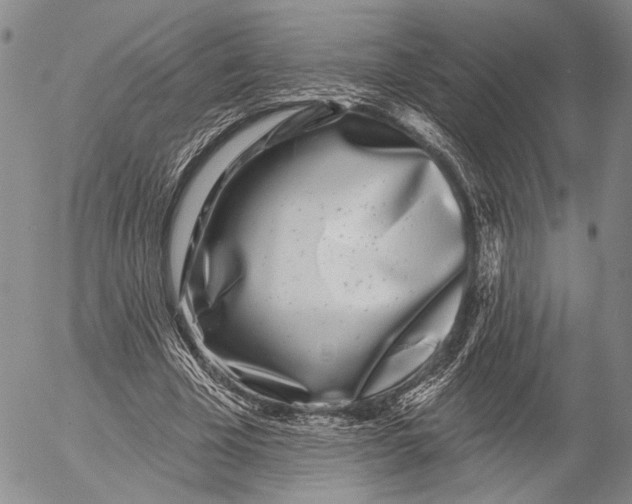 X0000052980585200507291554