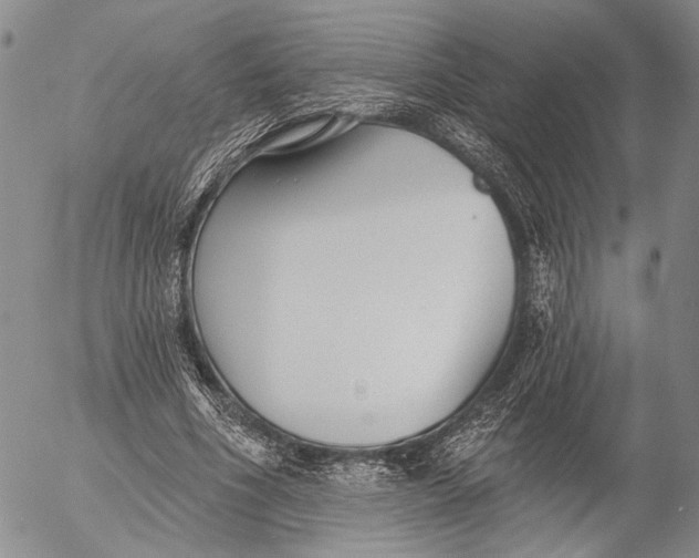 X0000052980586200507291554