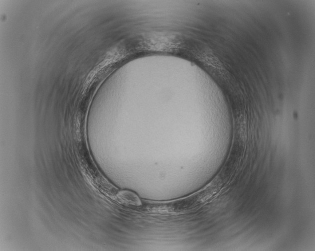 X0000052980587200507291554