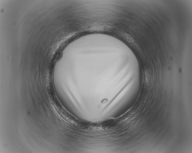 X0000052980588200507291554