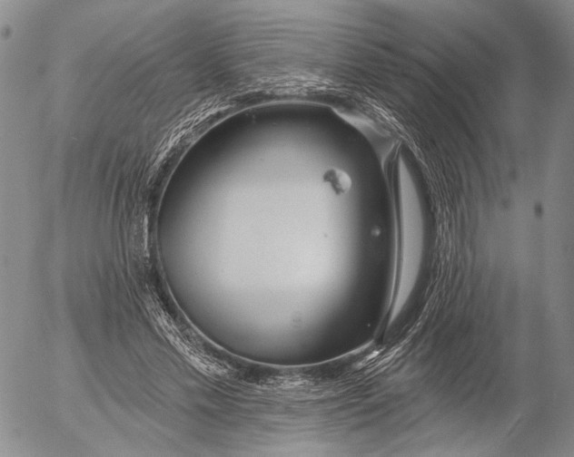 X0000052980589200507291554