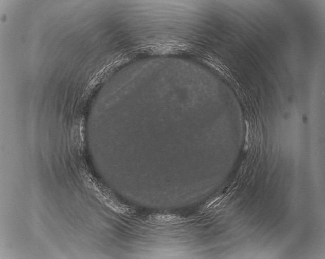 X0000052980590200507291554