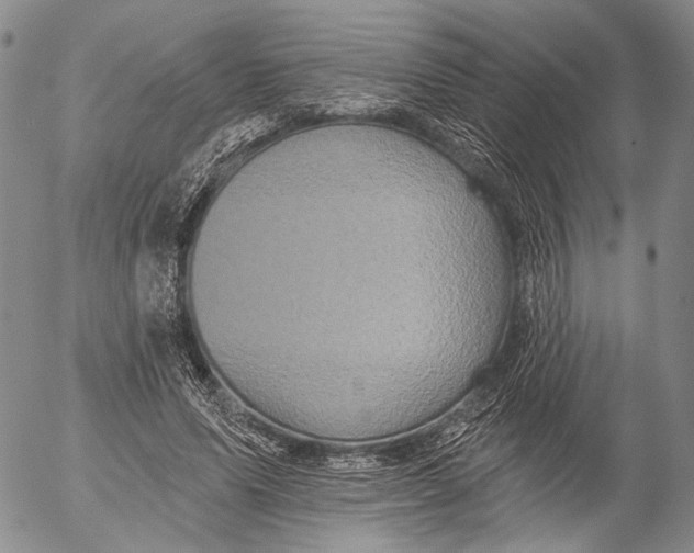 X0000052980591200507291553