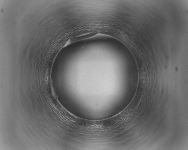 X0000052980593200507291553