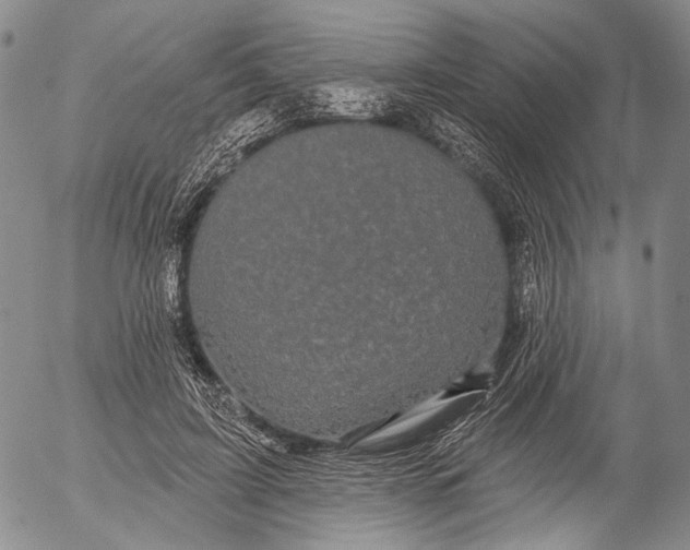 X0000052980595200507291553