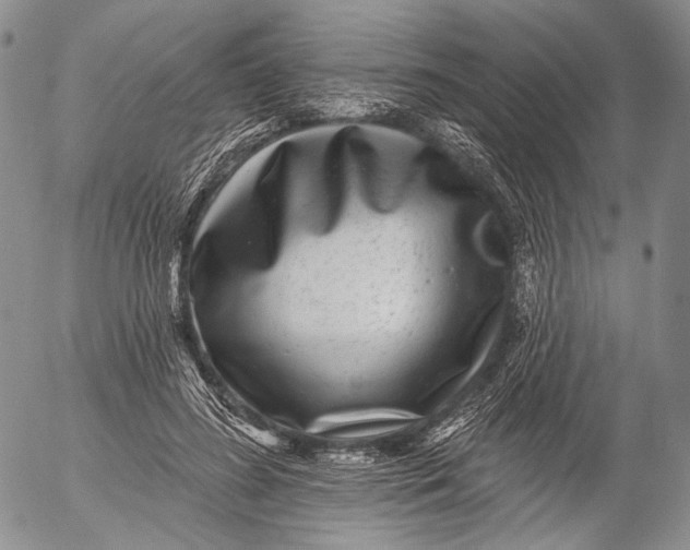 X0000052980596200507291553