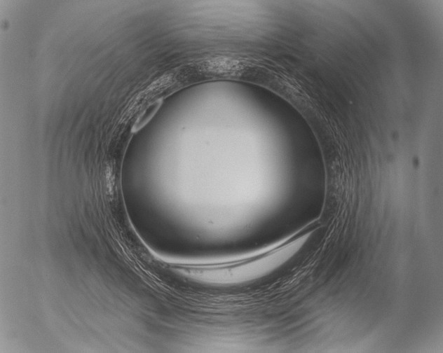 X0000052980597200507291553