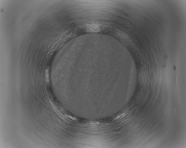 X0000052980598200507291553