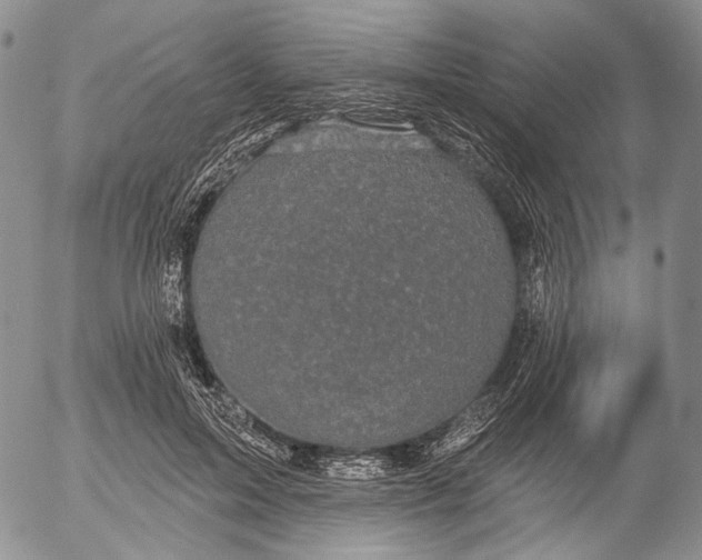 X0000052980599200507291553