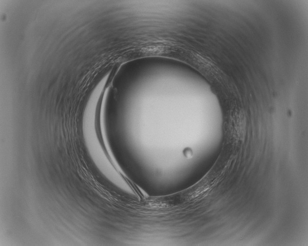 X0000052980601200507291553