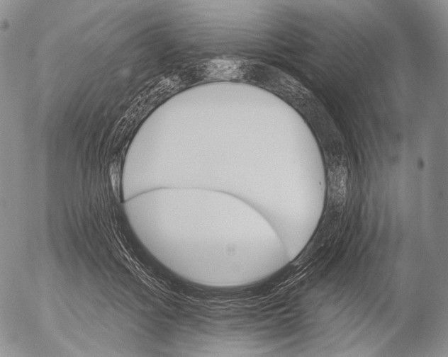 X0000052980602200507291553