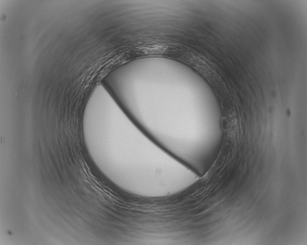 X0000052980604200507291553