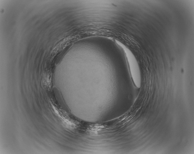 X0000052980607200507291553