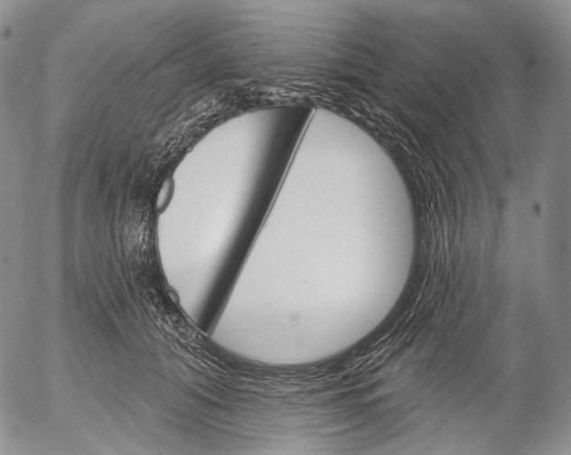 X0000052980608200507291553