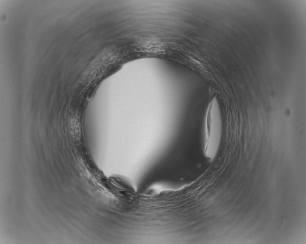 X0000052980609200507291553