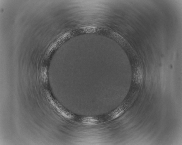 X0000052980610200507291553