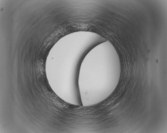 X0000052980612200507291553