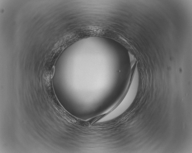 X0000052980613200507291553