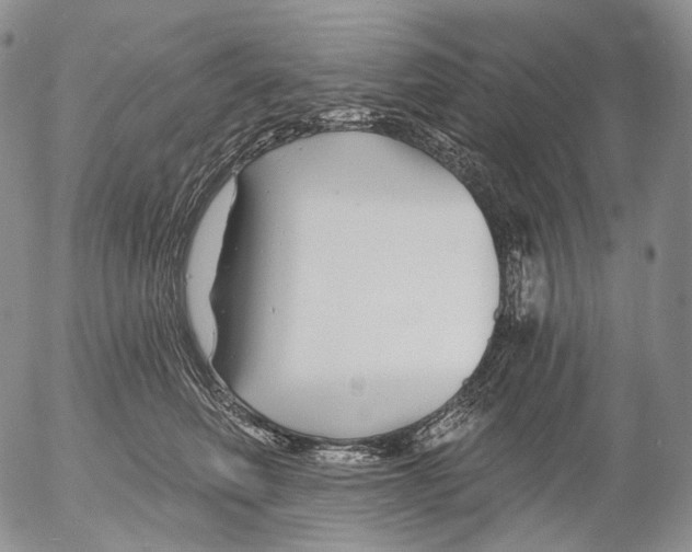 X0000052980614200507291553