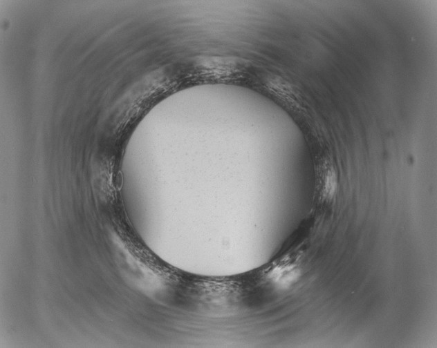 X0000052980615200507291553