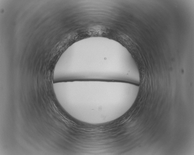 X0000052980616200507291553