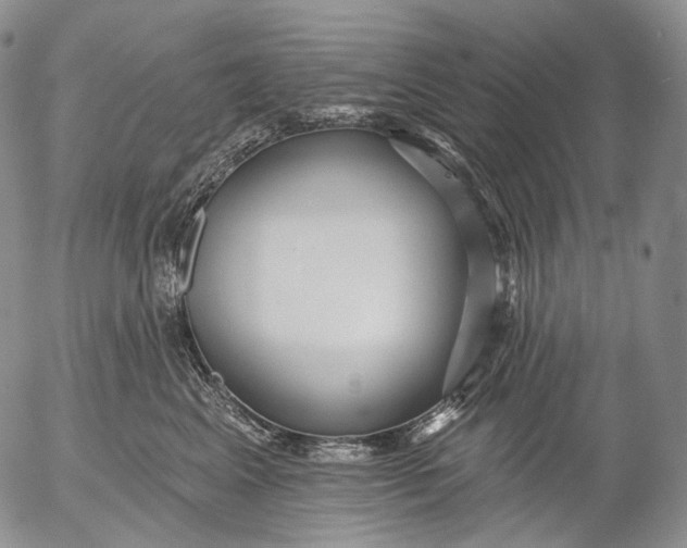 X0000052980617200507291553