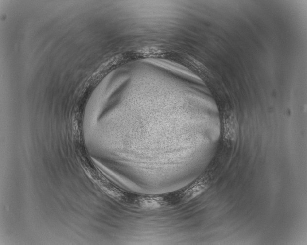 X0000052980618200507291553