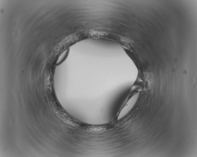 X0000052980619200507291553