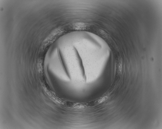 X0000052980620200507291553