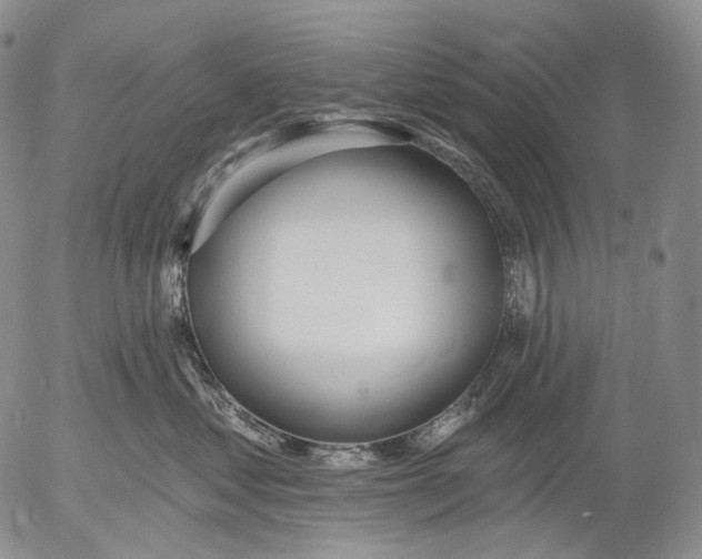 X0000052980621200507291553