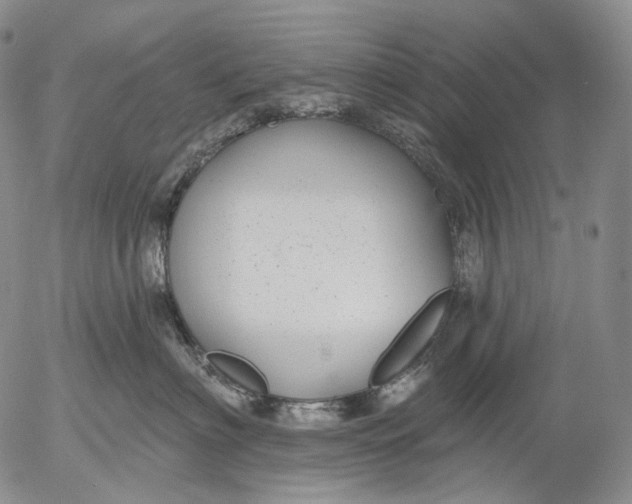 X0000052980622200507291553